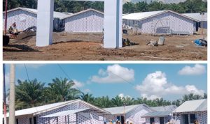 GridArt_20260116_113502003-1536x1536