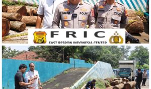 GridArt_20260117_144901528-1536x1536