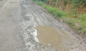 IMG-20260220-WA0011-768x346